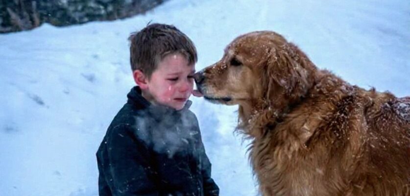 Mein Stiefvater ließ mich in einem Blizzard zurück, um zu sterben – doch er hatte nicht mit einem Hund gerechnet, der die Nacht nicht gewinnen ließ.