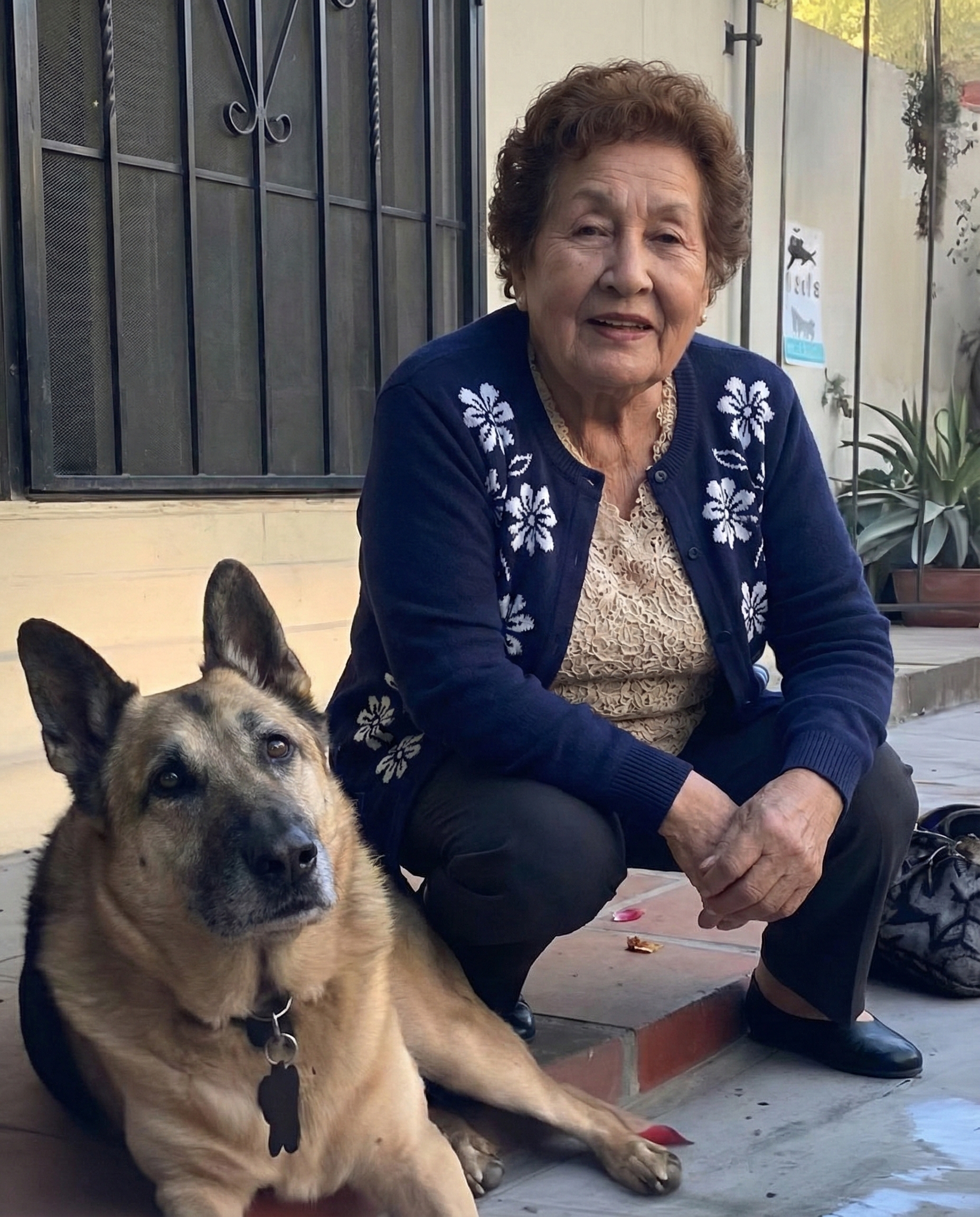 Ich entschied mich, den ältesten Hund im Tierheim aufzunehmen, obwohl mir bewusst war, dass sie nur noch einen Monat zu leben hatte – mein Ziel war es, ihr die verbleibende Zeit so schön wie möglich zu gestalten.