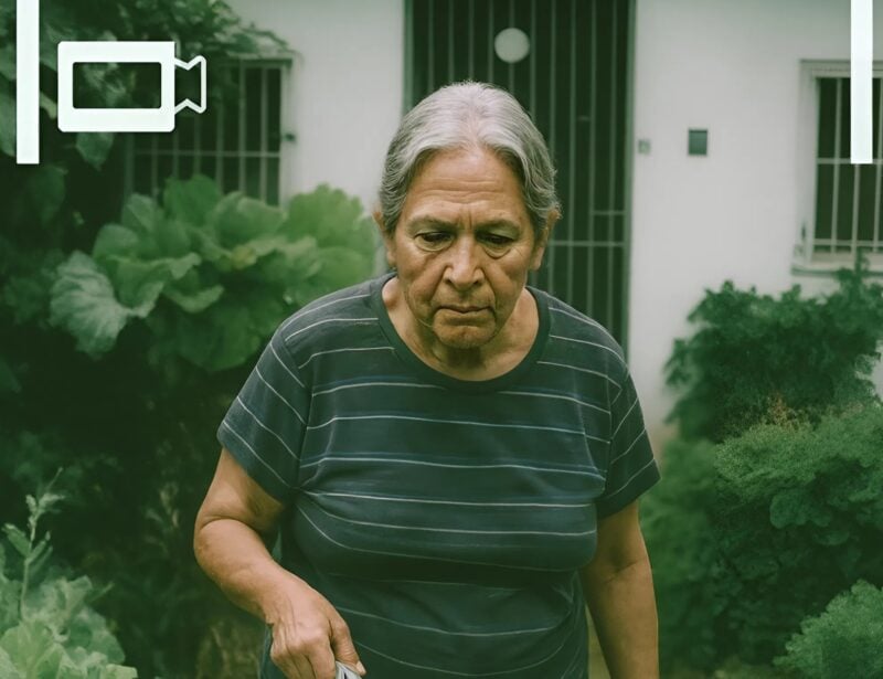 La mia vicina rubava frutta e verdura dal mio piccolo orto e mentiva dicendo che non era colpa sua, così ho escogitato un piano per darle una lezione.