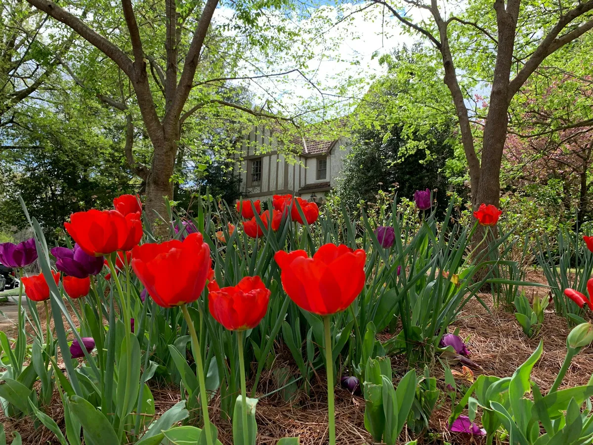 Mein Mann fing an, jeden Freitag Blumen mit nach Hause zu bringen – eines Tages fand ich eine Notiz im Strauß und folgte ihm nach der Arbeit