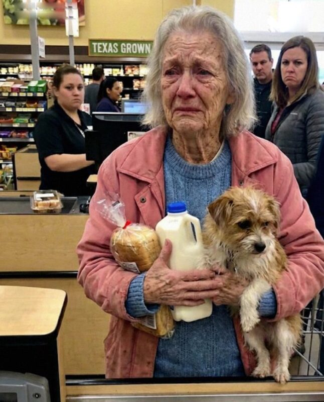 Ich half einer Frau im Supermarkt ohne einen zweiten Gedanken — dann erhielt ich eine Nachricht, die mich verblüffte.