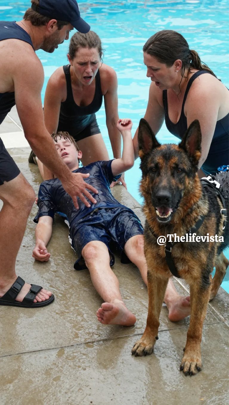 The Afternoon My Dog Dragged My Son From the Water and Became Everyone’s Hero — Until He Planted Himself in Front of My Child, Growled at a Woman, and I Heard Her Murmur, “He Doesn’t Remember, Does He?”