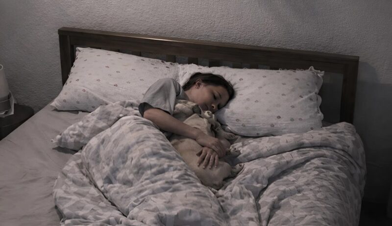 Ich begann, seltsame Geräusche in der Nacht zu hören, also installierte ich Kameras, um herauszufinden, was passierte, und was ich entdeckte, erschreckte mich