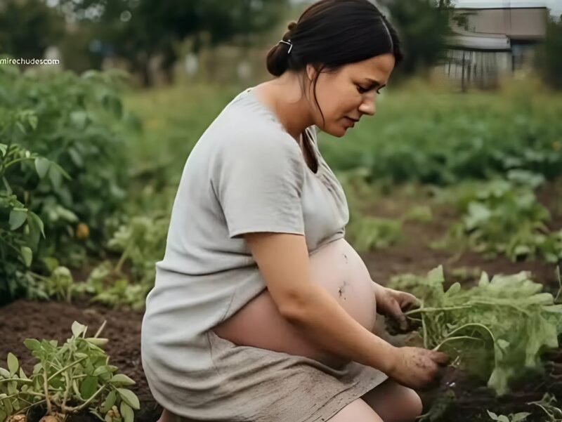 Mentre lui andava in vacanza, il marito lasciò la moglie incinta con la suocera a scavare le patate: ma ciò che accadde un giorno nell’orto lasciò i vicini sotto shock.