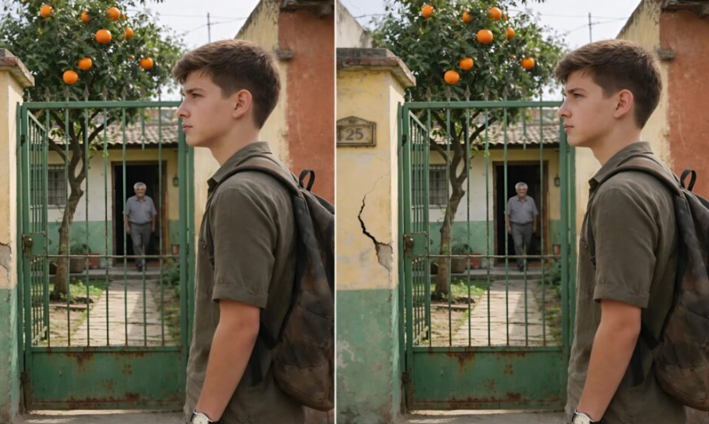 少年は毎年、まさに最も必要としている時に匿名の贈り物を受け取っていたが、子供時代を通して彼に付き添っていたこれらの謎の箱の背後に誰がいるのかは知らなかった。